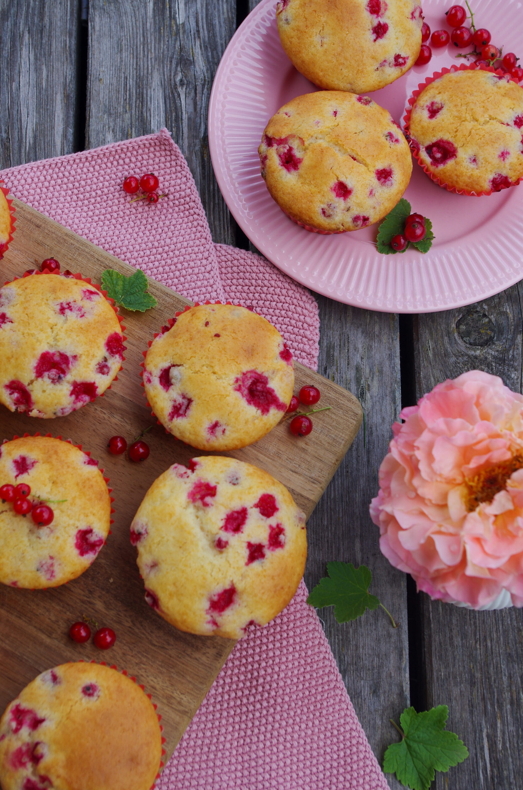 Saftige Johannisbeer Muffins Schlemmerlein